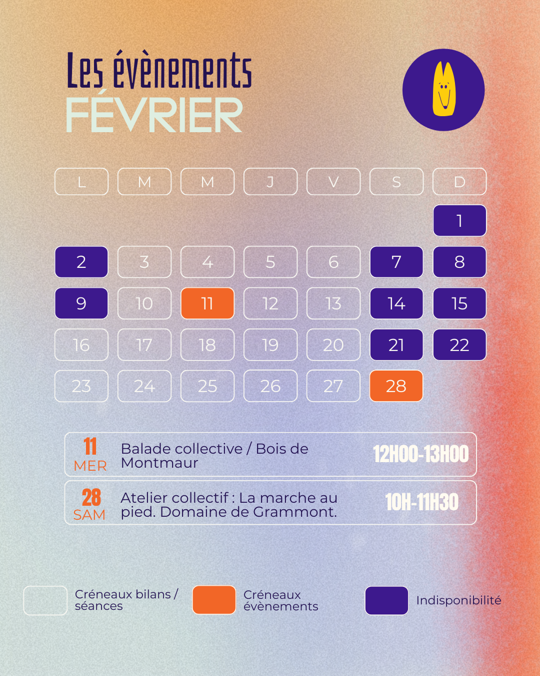 promenades collectives et cours collectifs chien